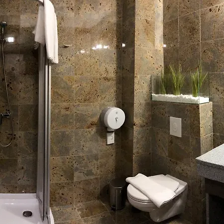 Hotel Termal Mesteri
