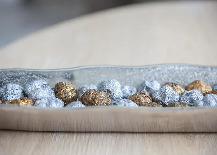 호텔 Termal Mesteri